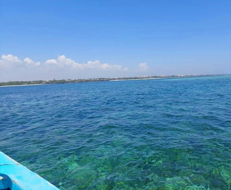 Mombasa Marine Park（蒙巴萨海洋公园）-非行家旅行-Africa Wild Wander