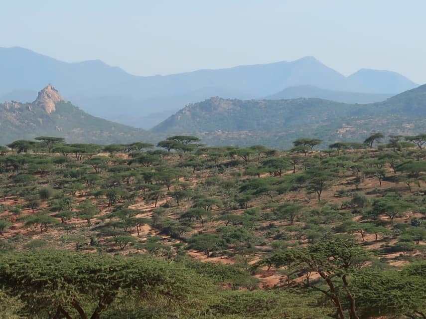 Oldonyiro Conservancy（国家公园 / 保护区 / Safari）-非行家旅行-Africa Wild Wander