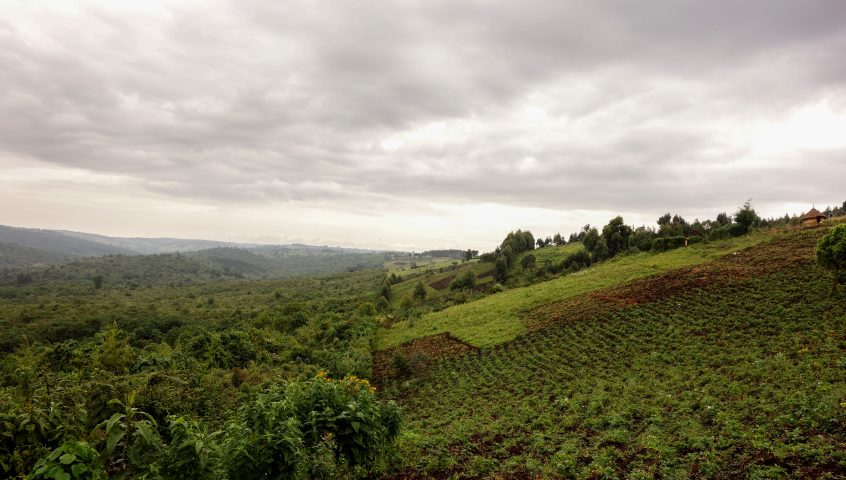 Forests in Kenya（水系 / 湖泊 / 海岸）-非行家旅行-Africa Wild Wander