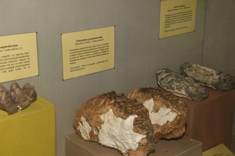 Kipsaraman Museum-非行家旅行-Africa Wild Wander