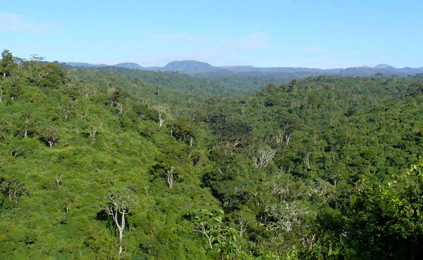 Aberdare Range（阿伯德尔山脉）-非行家旅行-Africa Wild Wander