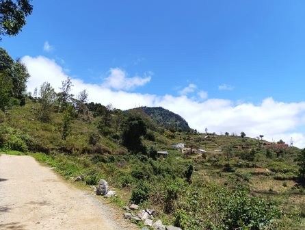 Vuria Hill（武里亚山）-非行家旅行-Africa Wild Wander