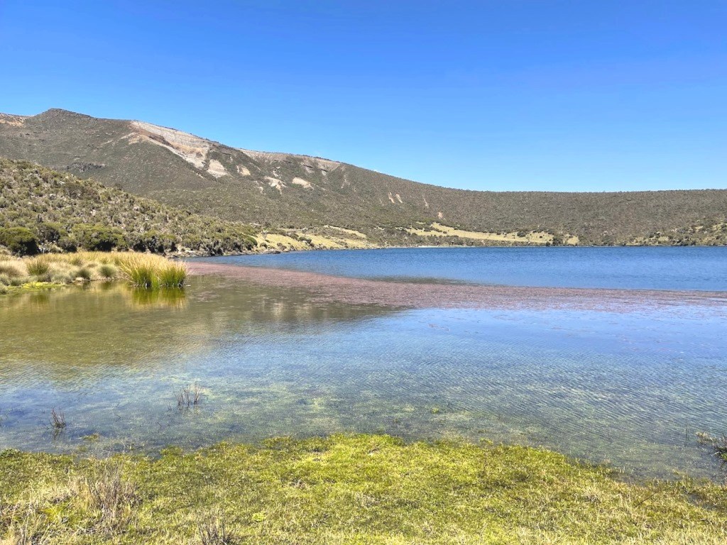 Lake Alice（艾丽斯湖）-非行家旅行-Africa Wild Wander