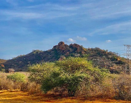 Tsavo West National Park（察沃西国家公园）-非行家旅行-Africa Wild Wander