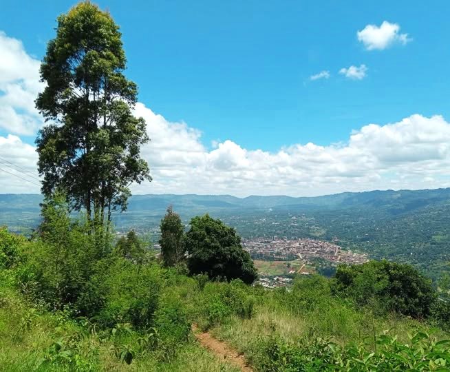Kiima Kimwe（山地 / 岩石 / 观景）-非行家旅行-Africa Wild Wander