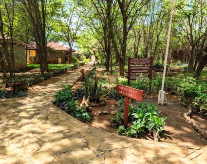 Ashnil Aruba Lodge（Tsavo East / 野生动物）-非行家旅行-Africa Wild Wander