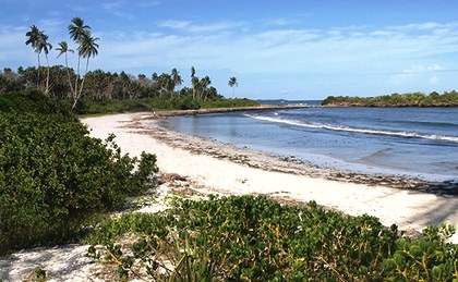 Msambweni Beach(海滩 / 岛屿)-非行家旅行-Africa Wild Wander