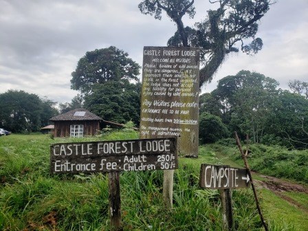 Castle Falls（城堡瀑布）-非行家旅行-Africa Wild Wander