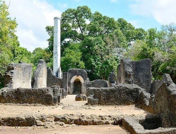 Mnarani Ruins（历史遗产 / 博物馆）-非行家旅行-Africa Wild Wander