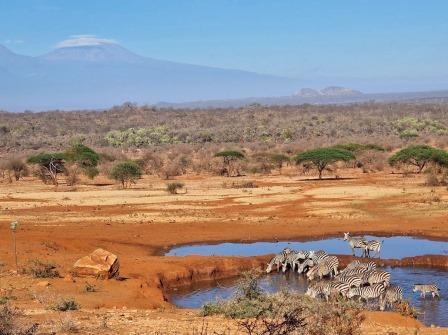 Tsavo West National Park（察沃西国家公园）-非行家旅行-Africa Wild Wander