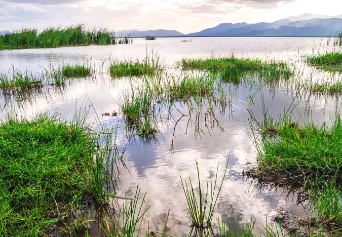 Lake Jipe（吉佩湖）-非行家旅行-Africa Wild Wander