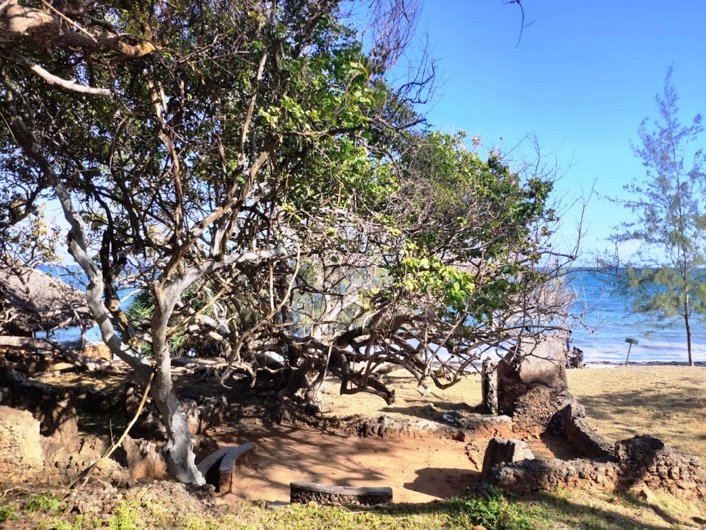 Jumba la Mtwana（水系 / 湖泊 / 海岸）-非行家旅行-Africa Wild Wander