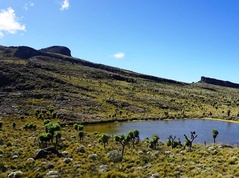 Wagagai Peak Hike（瓦加盖峰徒步）-非行家旅行-Africa Wild Wander