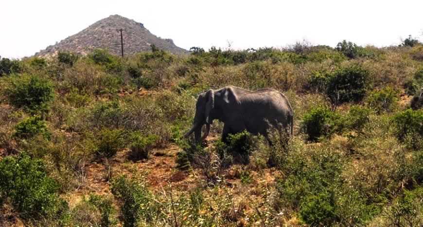 Amboseli National Park, Meru National Park, Marsabit Park, Sibiloi National Park, Lake Nakuru National Park（水系 / 湖泊 / 海岸）-非行家旅行-Africa Wild Wander