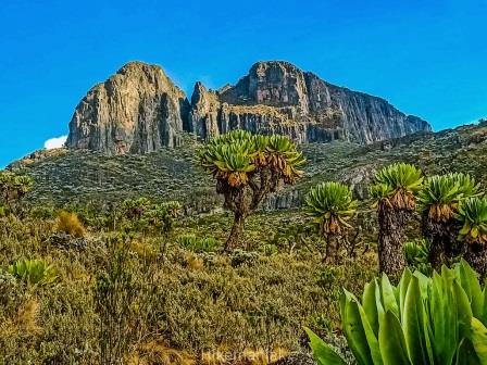 Koitoboss Peak Hike（科伊托博斯峰徒步）-非行家旅行-Africa Wild Wander