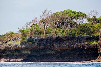 Chambocha Cemetery（斯瓦希里遗产 / 文化景观）-非行家旅行-Africa Wild Wander