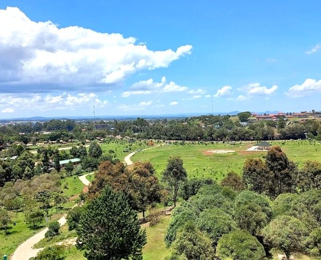 Eldoret Arboretum（埃尔多雷特树木园）-非行家旅行-Africa Wild Wander