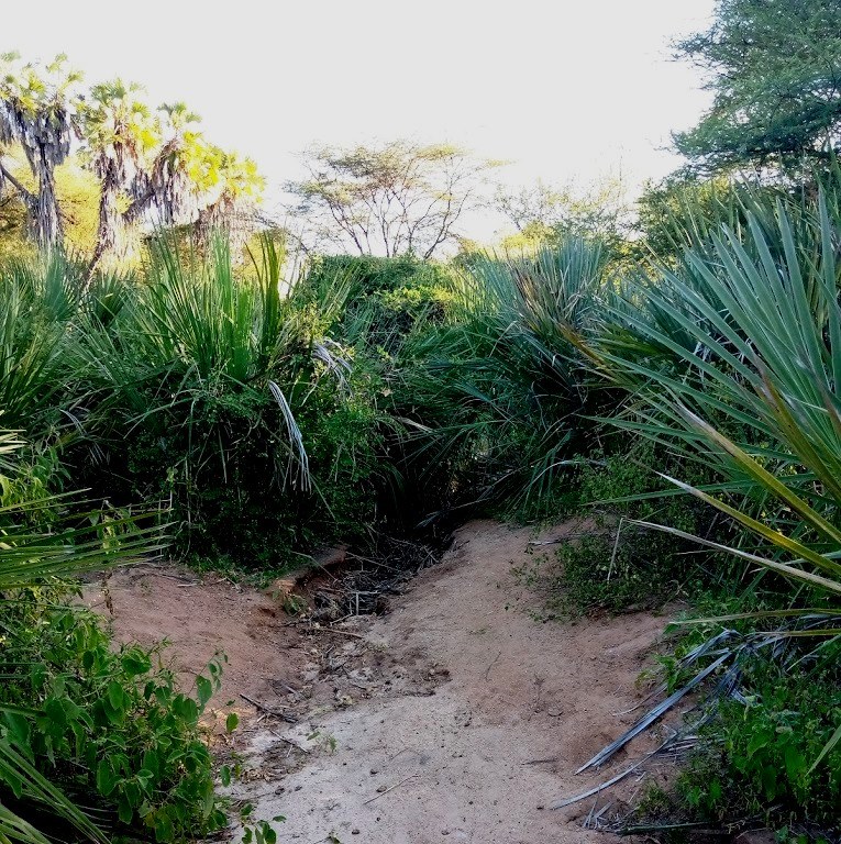 Kora Wells（水系 / 湖泊 / 海岸）-非行家旅行-Africa Wild Wander