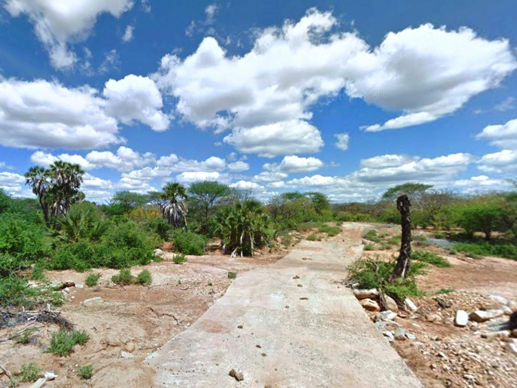 Mwingi National Reserve（姆温吉国家保护区）-非行家旅行-Africa Wild Wander