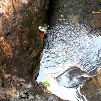 Keben Spring Water（产业 / 地方资源）-非行家旅行-Africa Wild Wander