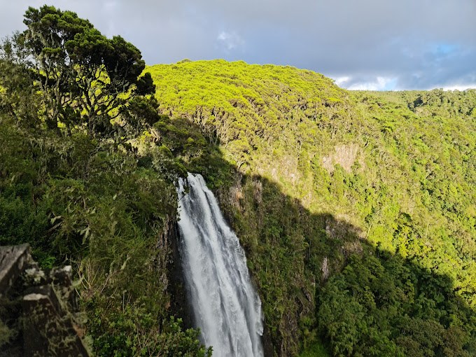 Aberdare National Park（自然景观 / 徒步）-非行家旅行-Africa Wild Wander