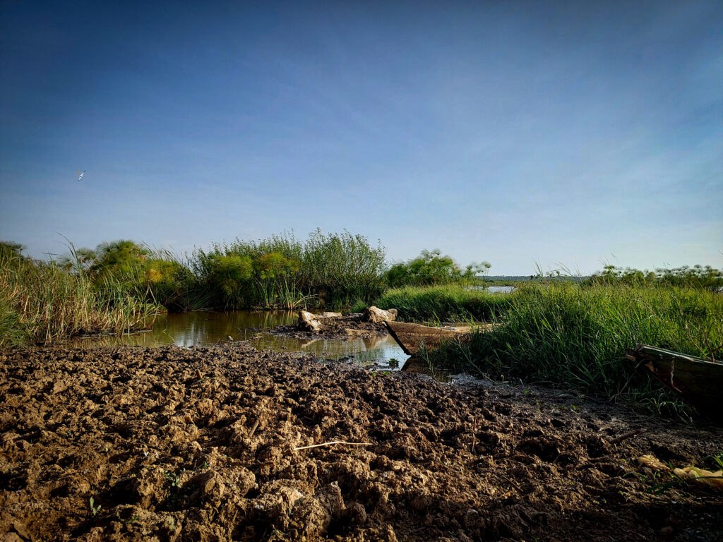 Yala Swamp（水系 / 湖泊 / 海岸）-非行家旅行-Africa Wild Wander