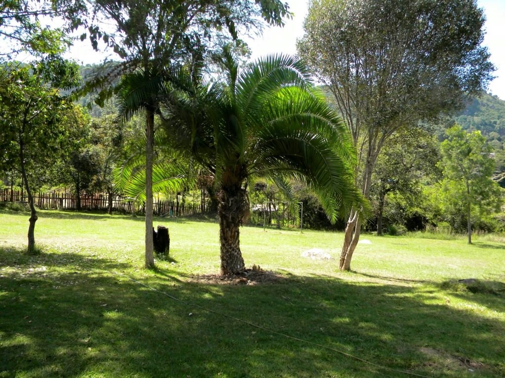 Lelin Campsite（水系 / 湖泊 / 海岸）-非行家旅行-Africa Wild Wander