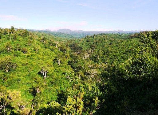 Wanjohi Falls（瀑布 / 森林水系）-非行家旅行-Africa Wild Wander