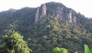 Forests of Kenya（自然景观 / 徒步）-非行家旅行-Africa Wild Wander