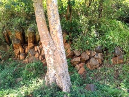 Kopere Rocks（山地 / 观景点）-非行家旅行-Africa Wild Wander