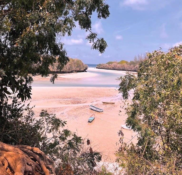 Takaungu Creek（水系 / 湖泊 / 海岸）-非行家旅行-Africa Wild Wander