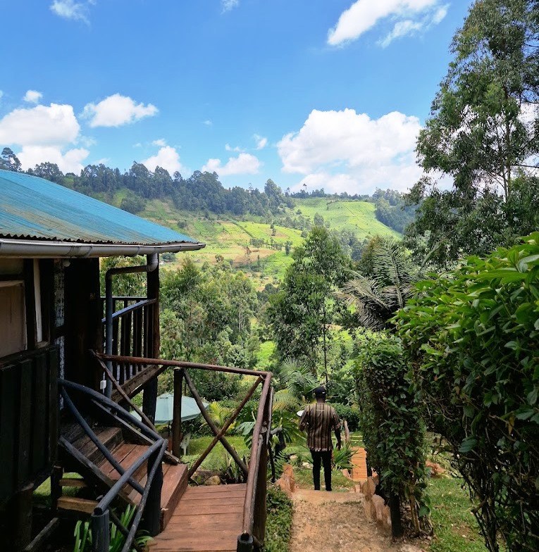 Aberdare Fishing Lodge（Aberdare 森林 / 徒步）-非行家旅行-Africa Wild Wander