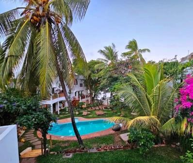 Kijani House（住宿 / 餐饮）-非行家旅行-Africa Wild Wander