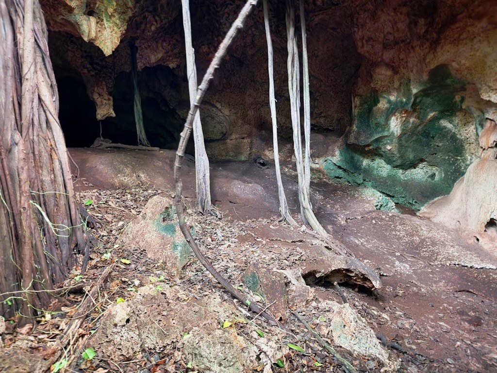 Fikirini Caves（斯瓦希里遗产 / 文化景观）-非行家旅行-Africa Wild Wander