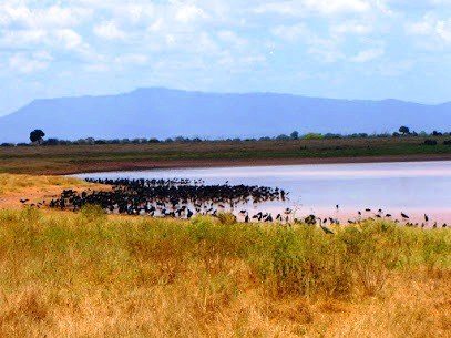 Aruba Dam（阿鲁巴坝）-非行家旅行-Africa Wild Wander