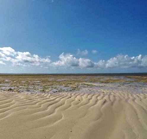 Malindi Marine Park（历史遗产 / 博物馆）-非行家旅行-Africa Wild Wander
