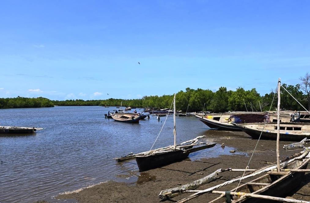 Old Town Vanga(县域目的地)-非行家旅行-Africa Wild Wander