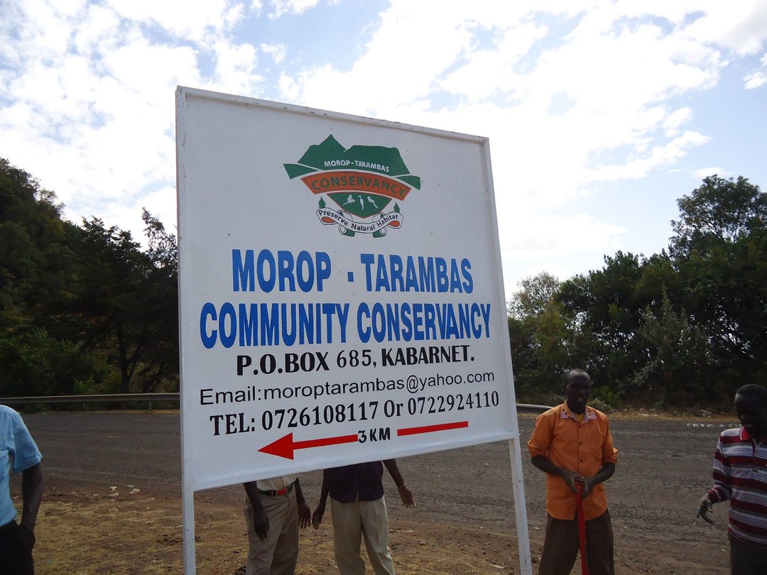 Morop-Tarambas Conservancy-非行家旅行-Africa Wild Wander