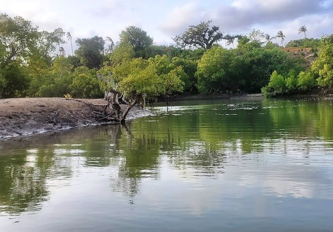 Kwale County（夸莱县）-非行家旅行-Africa Wild Wander