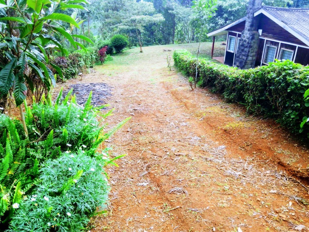 Muchiri’s Resort(住宿休闲 / 周末营地)-非行家旅行-Africa Wild Wander