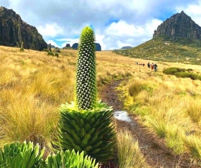 Dragon’s Teeth（龙牙峰群）-非行家旅行-Africa Wild Wander