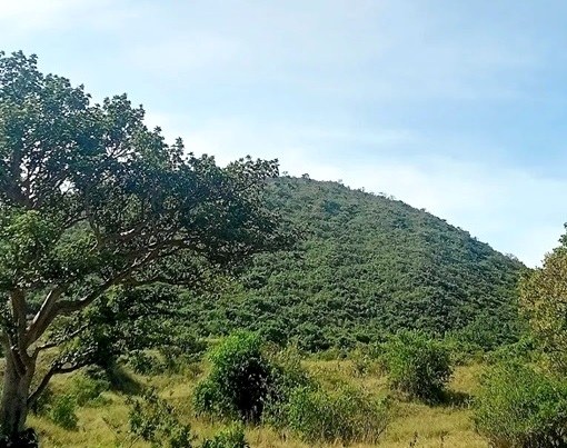 Songhor Site（县域目的地）-非行家旅行-Africa Wild Wander