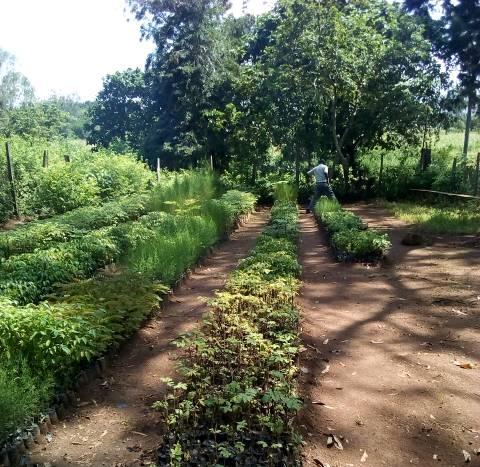 Kodera Forest（水系 / 湖泊 / 海岸）-非行家旅行-Africa Wild Wander