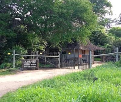 Umani Springs Lodge（乌马尼泉旅舍）-非行家旅行-Africa Wild Wander