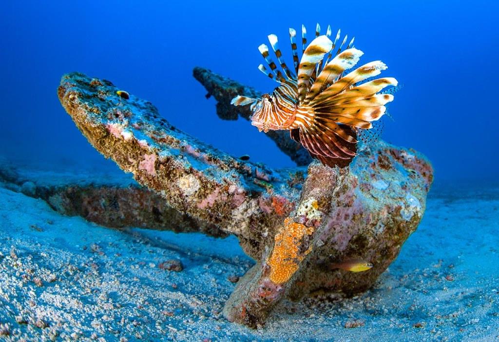 Funguo Wreck（县域目的地）-非行家旅行-Africa Wild Wander