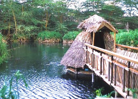 Mzima Springs（姆兹马泉）-非行家旅行-Africa Wild Wander