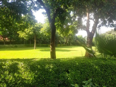 Tredds Garden（Tredds 花园）-非行家旅行-Africa Wild Wander