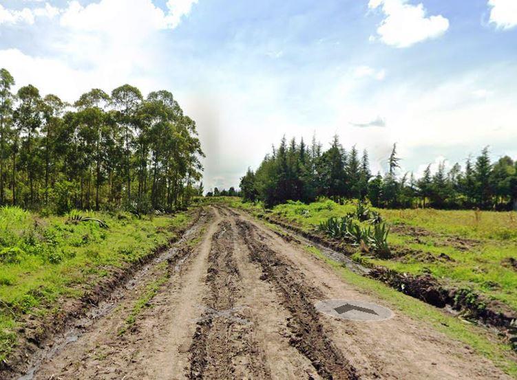 Chebara Irrigation Scheme（县域目的地 / 专题资料）