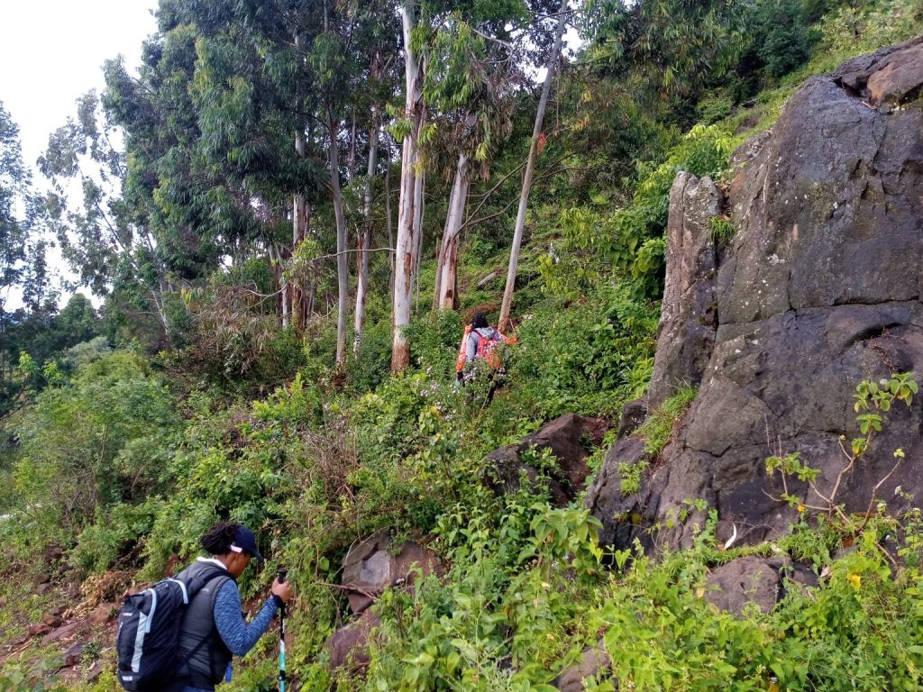 Kessup Forest（水系 / 湖泊 / 海岸）-非行家旅行-Africa Wild Wander