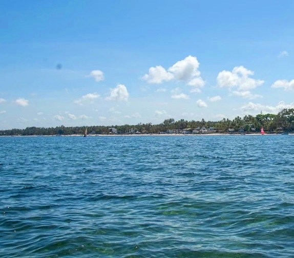 Mombasa Marine Park（蒙巴萨海洋公园）-非行家旅行-Africa Wild Wander